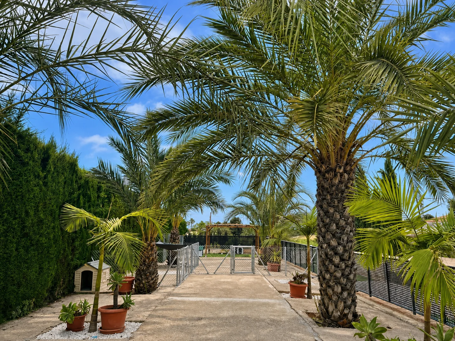 Parque exterior de Illice Bonavista