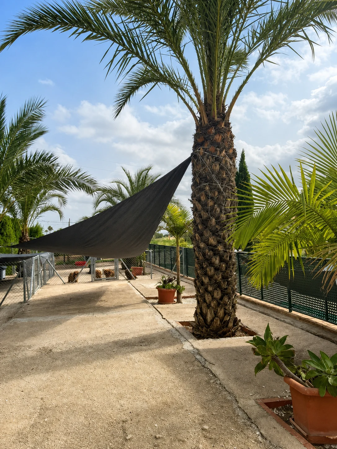 Zona de juego del criadero